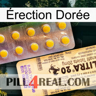 Érection Dorée new06